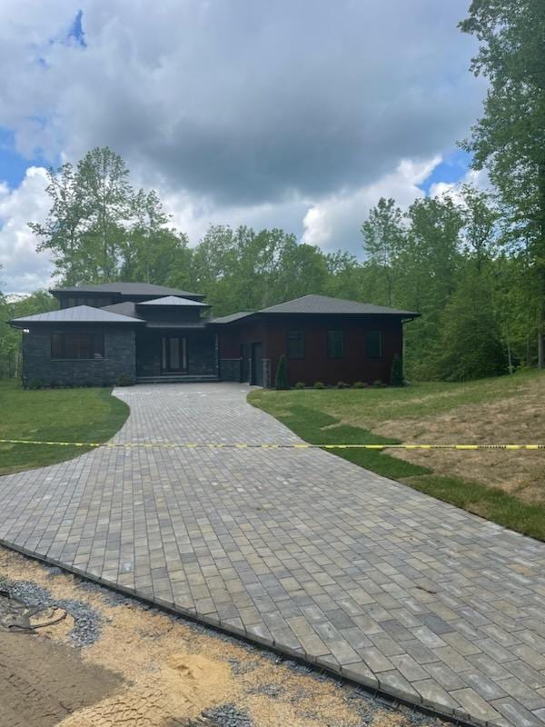 Fresh paved lane shaded by Pacific Northwest trees